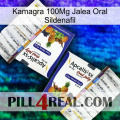 Kamagra 100Mg Oral Jelly Sildenafil 12